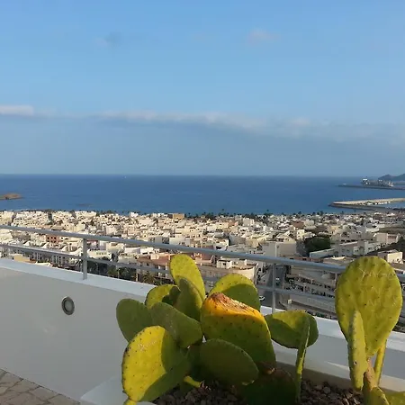 Jurinea * Carboneras
